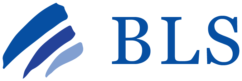 BLS - Bügerliste Steinburg